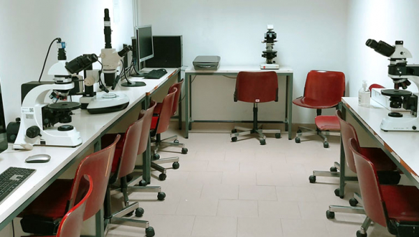Microscopia Ottica 1